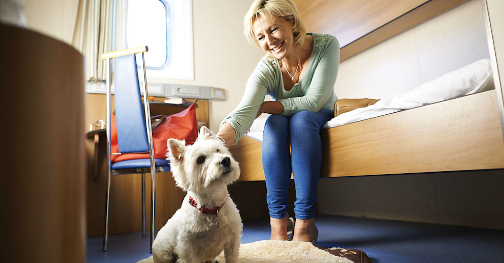 Plymouth to Roscoff ferry with pets
