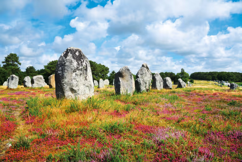 The Kermario standing stones near La Grande Métairie, a Eurocamp parc in Brittany